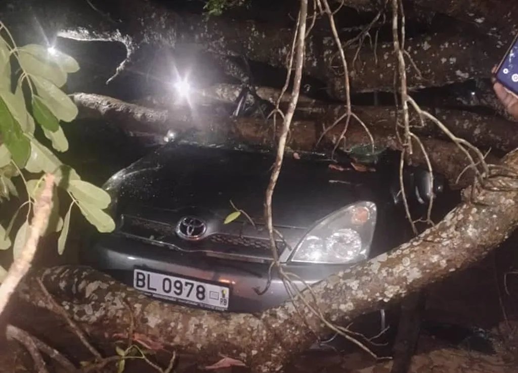 Un arbre s'abat sur un véhicule, faisant un blessé grave