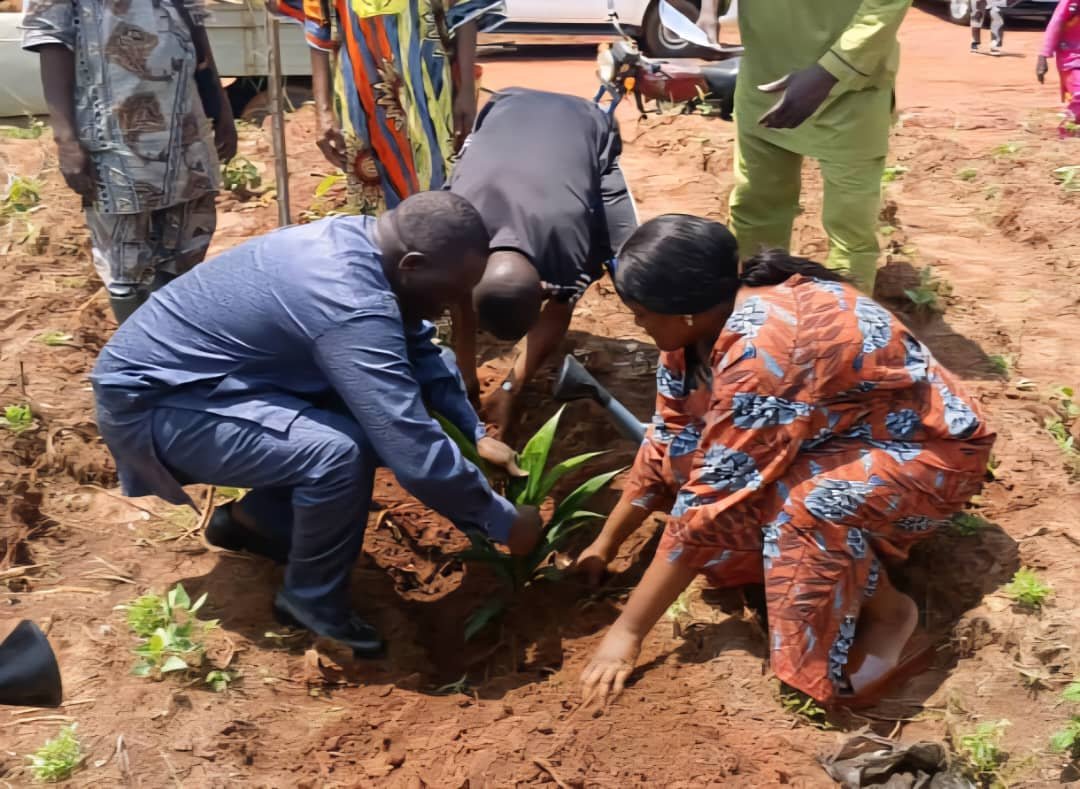 Cap sur l’or rouge : Le Bénin lance la 6e campagne nationale de plantation de palmier à huile