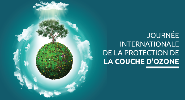 De la science à l’action mondiale pour préserver notre bouclier naturel