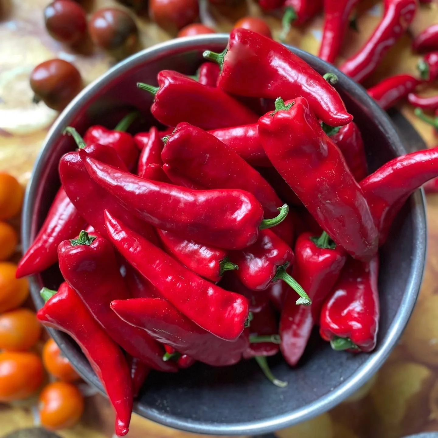 Le piment, or rouge du Bénin