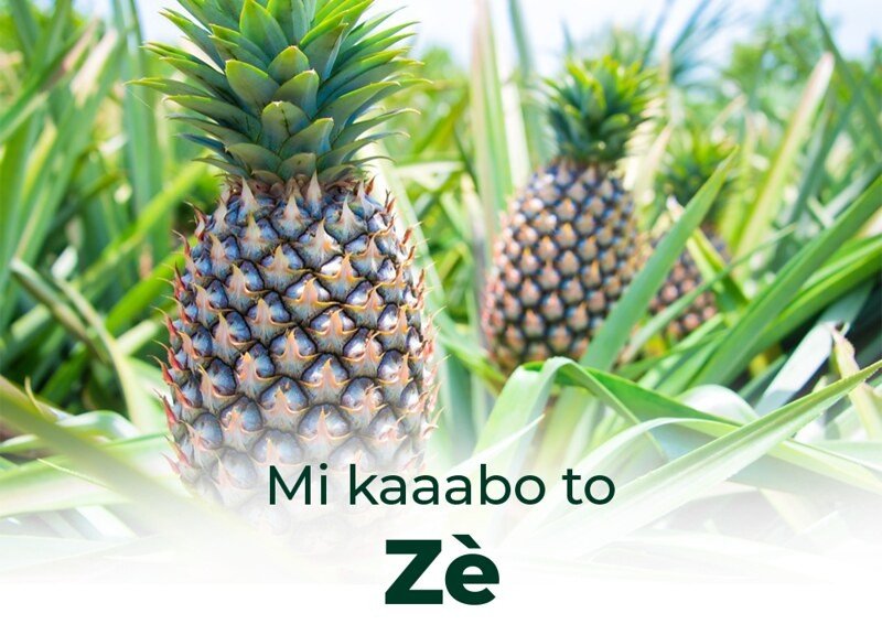 Zè, poumon vert et carrefour économique du Bénin