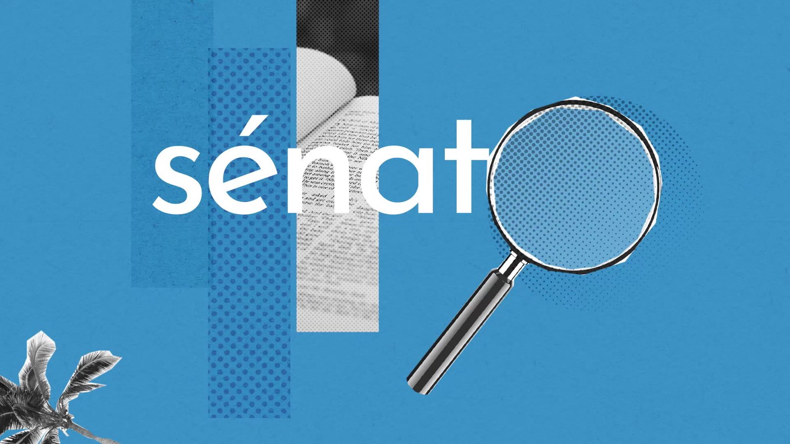 Révision Constitutionnelle : Sénat à Cotonou ?