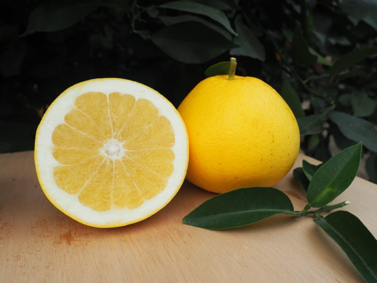Le pamplemousse, l’allié vitalité par excellence