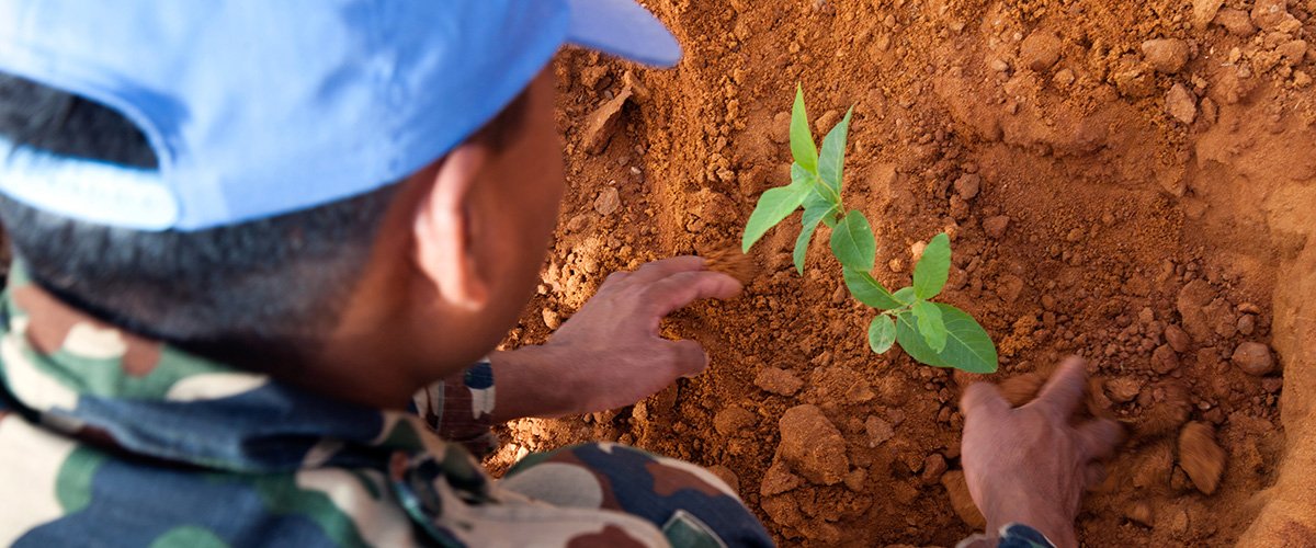 L’environnement, victime oubliée des guerres