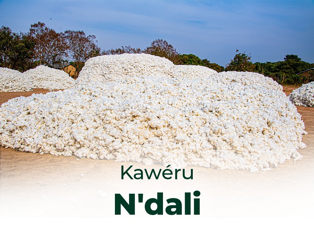 Un bastion historique et agricole au cœur du Borgou