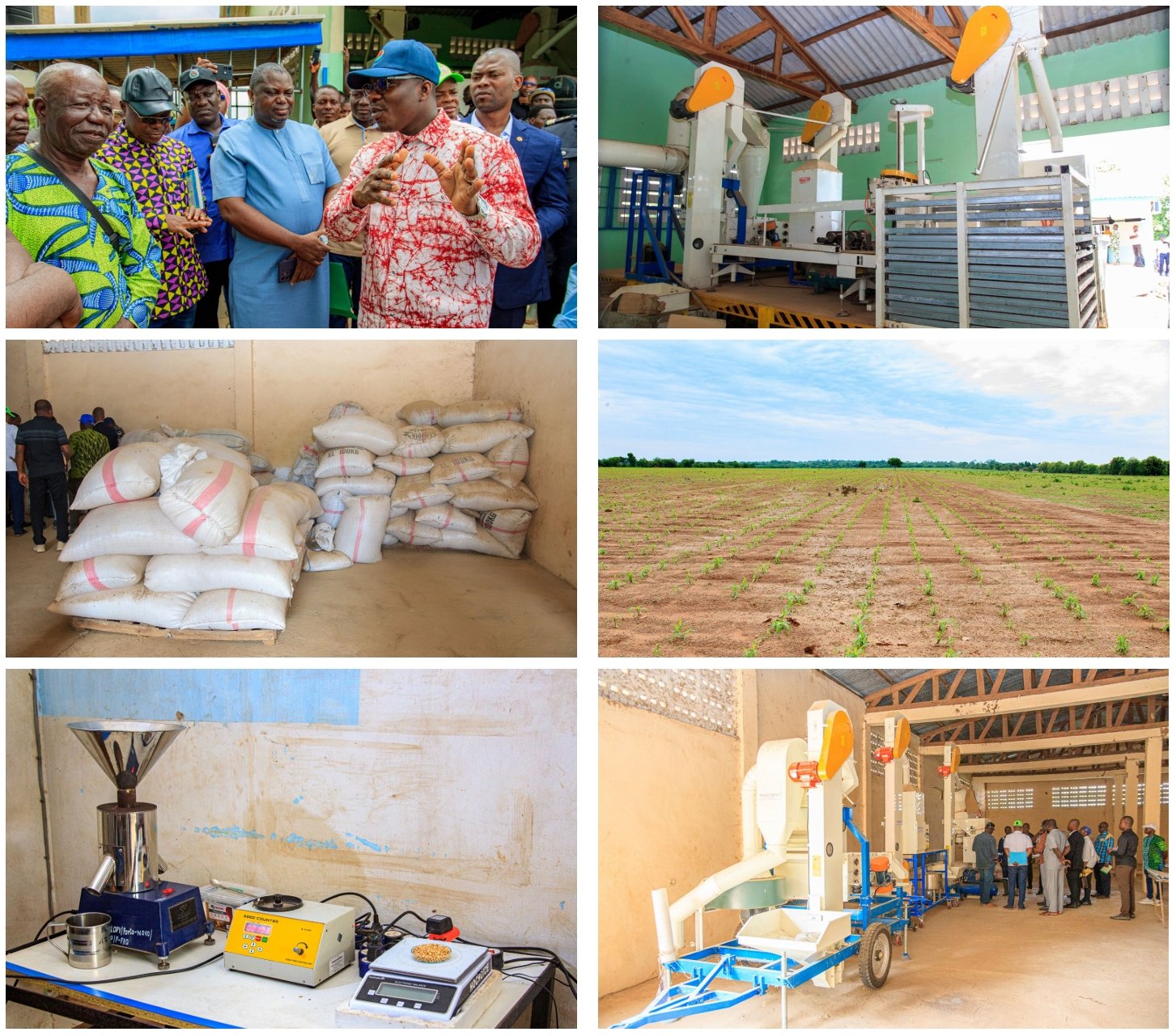 Semences certifiées : le Bénin engage une réforme décisive pour moderniser son agriculture